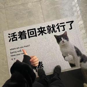 Budis Ковер 60х90 см из ПВХ с противоскользящим покрытием для прихожей, дизайн "Come Back and Live", пылесборный