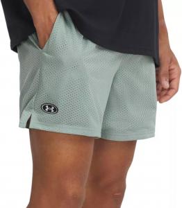 Мужские шорты для тренировок Under Armour Icon Mesh, свободный крой, Silica Green 348