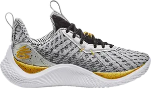 Кроссовки Curry Flow 10 GS 'Father to Son', серый