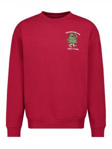 Толстовка Sublevel Sweatshirt, красный