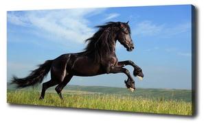 Фреска Tulup Rappe Wiese, черный