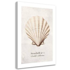 Картина арт-принт KUNSTLOFT Seashell #1, бежевый