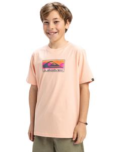 QUIKSILVER Футболка EV GRADIENT BOX розовая для мальчиков