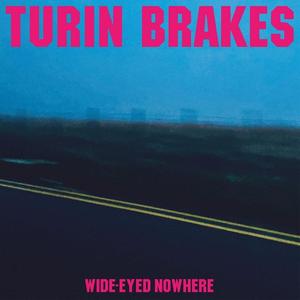 Виниловая пластинка LP Wide-Eyed Nowhere [Pink Vinyl] - Turin Brakes