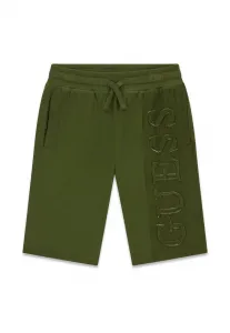 Спортивные штаны seitenlogo Guess, Grün