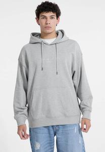 Худи Guess Jeans LOGOSTICKEREI, Grau/Grey