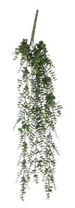 Декоративное растение Mica Decorations Hängepflanze Eukalyptus, зеленый