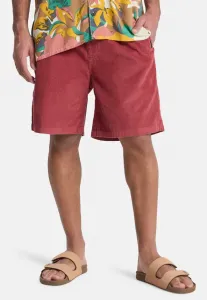 Спортивные штаны taxer Quiksilver, Burnt Russet