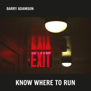 Виниловая пластинка LP Know Where To Run [Silver Vinyl] - Barry Adamson