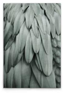 Картина на холсте A.S. Création Feathers 2 цвет blaugrau