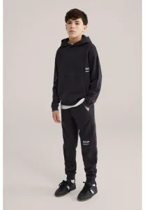 Спортивные штаны соленой собаки We Fashion, Black