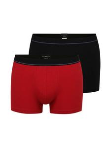 Боксеры Bugatti