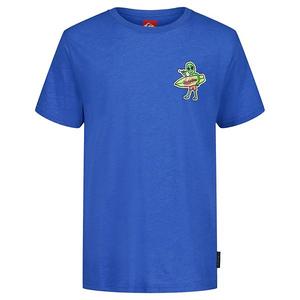 Мальчиковая футболка с принтом Quiksilver