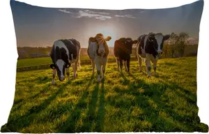Подушка для улицы - Коровы - Солнце - Трава - Животные - Ферма - 50 x 30 см - Устойчива к погодным условиям - Подушка для отдыха - Подушка для дивана - Украшение для гостиной MuchoWow