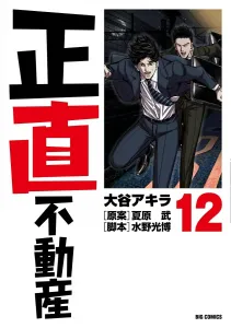 Honest Real Estate (12) (Big Comics)