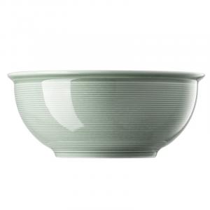 Миска Trend Color Moss Green 22 см Thomas, зеленый