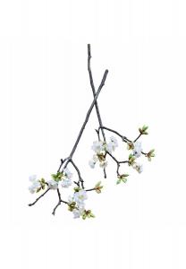 Декоративный набор цветов из 2-х цветов Града белый Loberon, белый