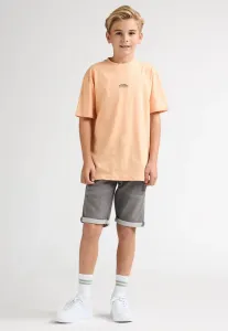 Базовая футболка huizache Petrol Industries, Tropical Orange