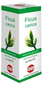 Фикус Карика Мг 100 мл Капли