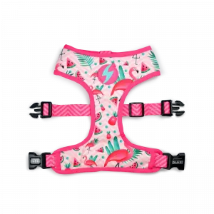 Шлейка для собаки Dashi Flamingo Neo С Dashi, цвет розовый
