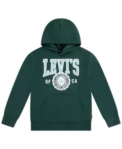 Спортивный худи с длинным рукавом для мальчиков 8-20 Levi'S, зеленый