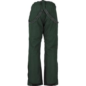 Лыжные брюки WHISTLER Fairfax, цвет gruen