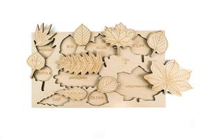 Листья, породы деревьев, книжка-раскраска, деревянные листья Inna marka