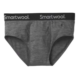 Трусы Smartwool Merino Sport 150 Brief, серый