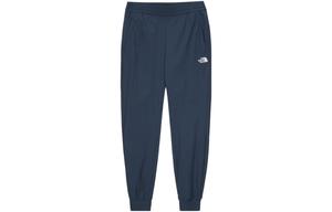 Трикотажные спортивные штаны мужские синие The North Face, синий