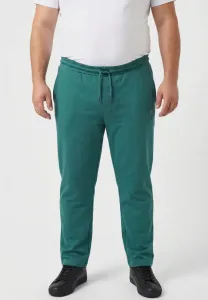 Спортивные штаны Men Plus, Fir Green
