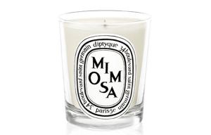 Практическая ароматерапия Diptyque, blushing grass 190g