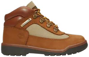 Ботинки Timberland Field Boot Youth 'Sundance', желто-коричневый