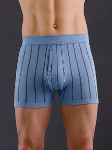 Трусы (2 шт.), цвет Hellblau-Gestreift