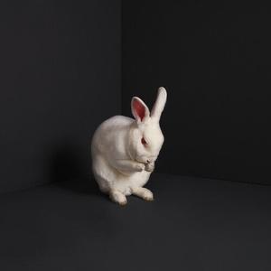 CD диск Brume: Rabbits