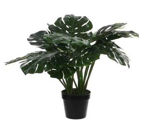 Декоративное растение Mica Decorations Monstera, 80x80x80 см, зеленый