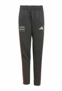 Спортивные штаны audi formula one team dna Adidas Performance, Utility Black