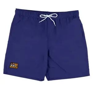 Шорты для плавания Santa Cruz Vista, синий