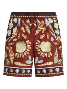 Dolce & Gabbana плавки-шорты с принтом, коричневый