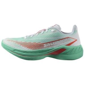 Кроссовки мужские SPECTUR 2 Low-top зеленые Salomon