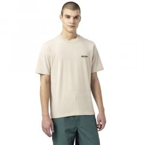 Футболка Dickies Artondale Box, серый