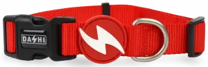 Ошейник для собаки Dashi, однотонный красный XS Dashi, цвет красный
