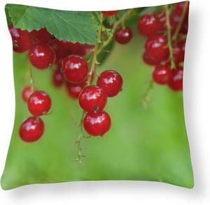 HighonHi Наволочка для декоративной подушки сатин с принтом смородины летние фрукты Pattern-6