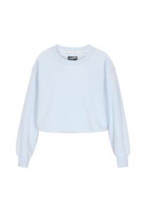 DreiMaster Vintage Свитшот 'Vintage' в пастельно-голубом цвете