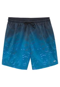 Шорты H.I.S Board Shorts, синий