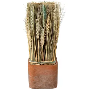 Креатив домашних сухоцветов «Сухоцветы в горшке» Creativ Home, розовый