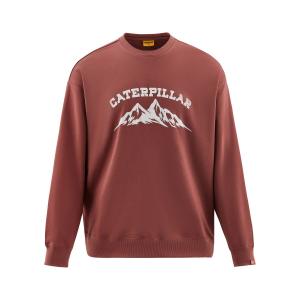 Толстовка мужская CAT, кирпично-красная