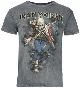 Футболка Iron Maiden Trooper, серый