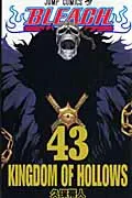 Bleach 43 (Jump Comics)