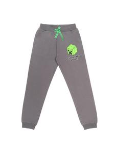 Спортивные брюки Minecraft, серый