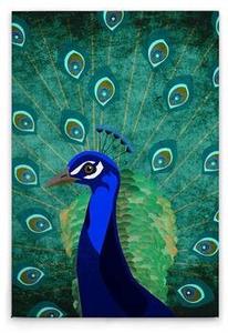 Картина на холсте A.S. Création Peacock цвет grünblau